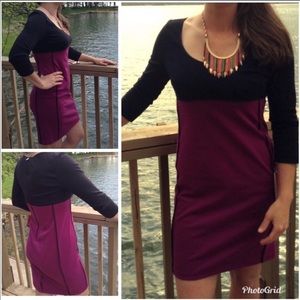 Narcisco Rodriguez Color Block Ponte Knit Sheath Black Mulberry Dress XS NWT